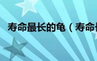 寿命最长的龟（寿命长的龟的种类有哪些）