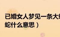 已婚女人梦见一条大蛇（已婚女人梦见一条大蛇什么意思）