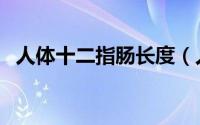 人体十二指肠长度（人体十二指肠在哪里）