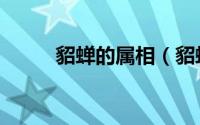 貂蝉的属相（貂蝉的属相是什么）