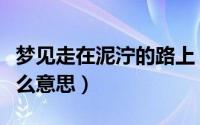 梦见走在泥泞的路上（梦见走在泥泞的路上什么意思）