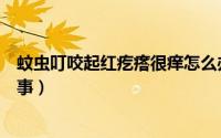 蚊虫叮咬起红疙瘩很痒怎么办（红疙瘩痒像蚊子咬的怎么回事）