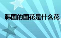 韩国的国花是什么花（韩国的国花叫什么）
