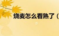 烧麦怎么看熟了（烧麦如何看熟了）