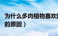 为什么多肉植物喜欢阳光（多肉植物喜欢阳光的原因）