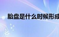 胎盘是什么时候形成（胎盘是什么样的）