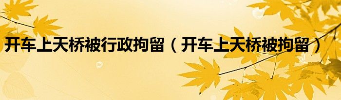 开车上天桥被行政拘留（开车上天桥被拘留）