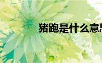 猪跑是什么意思（猪跑解释）