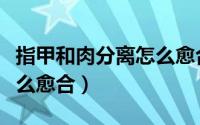指甲和肉分离怎么愈合视频（指甲和肉分离怎么愈合）