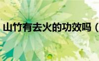 山竹有去火的功效吗（山竹有下火的功效吗）