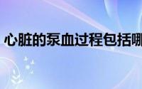 心脏的泵血过程包括哪些（心脏的泵血过程）