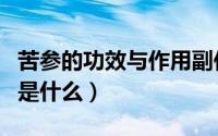 苦参的功效与作用副作用（苦参的功效与作用是什么）