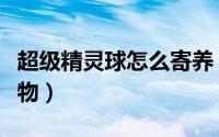 超级精灵球怎么寄养（超级精灵球如何寄养宠物）