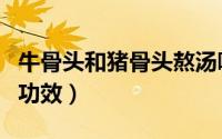 牛骨头和猪骨头熬汤哪个好（牛骨猪骨熬汤的功效）