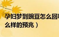 孕妇梦到豌豆怎么回事（孕妇梦到豌豆有着什么样的预兆）
