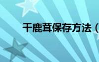 干鹿茸保存方法（干鹿茸如何保存）