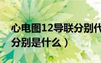心电图12导联分别代表什么（心电图12导联分别是什么）
