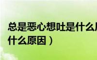 总是恶心想吐是什么原因（总是恶心、想吐是什么原因）
