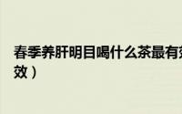春季养肝明目喝什么茶最有效（春季养肝明目喝什么茶最有效）