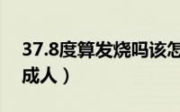 37.8度算发烧吗该怎么办（37.8度算发烧吗成人）