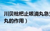 川贝枇杷止咳滴丸急支糖浆（川贝枇杷止咳滴丸的作用）