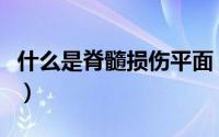 什么是脊髓损伤平面（脊髓损伤平面怎么治疗）