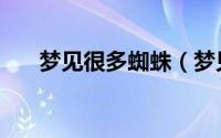梦见很多蜘蛛（梦见蜘蛛意味着什么）