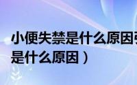 小便失禁是什么原因引起的怎样治（小便失禁是什么原因）