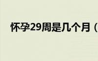 怀孕29周是几个月（怀孕29周是几个月）