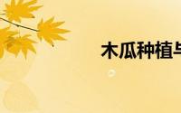 木瓜种植与管理技术