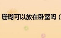 珊瑚可以放在卧室吗（珊瑚能不能放在卧室）