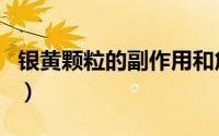 银黄颗粒的副作用和危害（银黄颗粒的副作用）
