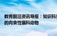 教育前沿资讯导报：知识科普：哪种大猫是世界上体重最大的肉食性猫科动物