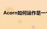 Acorn如何运作是一个安全的投资工具吗？