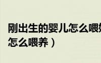 刚出生的婴儿怎么喂奶最合理（刚出生的婴儿怎么喂养）