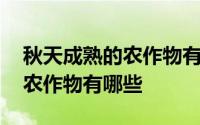 秋天成熟的农作物有哪些需要晒 秋天成熟的农作物有哪些 