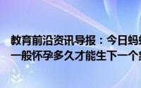 教育前沿资讯导报：今日蚂蚁庄园小鸡问答知识科普：大象一般怀孕多久才能生下一个象宝宝