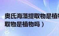 奥氏海藻提取物是植物还是生物（奥氏海藻提取物是植物吗）