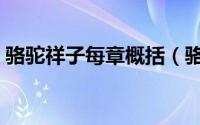 骆驼祥子每章概括（骆驼祥子每章主要内容）