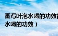 番泻叶泡水喝的功效能治高血压吗（番泻叶泡水喝的功效）