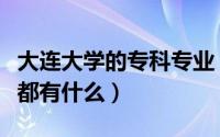大连大学的专科专业（大连工业大学专科专业都有什么）