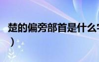 楚的偏旁部首是什么字（楚的偏旁部首是什么）