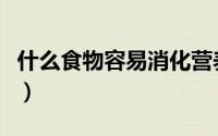什么食物容易消化营养高（什么食物容易消化）