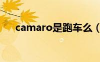 camaro是跑车么（camaro是什么车）