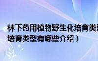 林下药用植物野生化培育类型有哪些（林下药用植物野生化培育类型有哪些介绍）