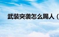 武装突袭怎么踢人（武装突袭如何踢人）