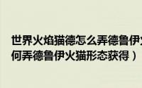 世界火焰猫德怎么弄德鲁伊火猫形态获得（魔兽火焰猫德如何弄德鲁伊火猫形态获得）