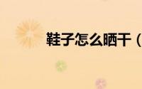 鞋子怎么晒干（鞋子如何晒干）