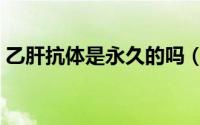 乙肝抗体是永久的吗（乙肝抗体是永久的吗）