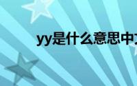 yy是什么意思中文 yy是什么意思 